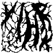 HIHRK Windows Live Messenger/ICQ Avatar by Spongshga