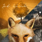 Foxes / Leeroy - Single
