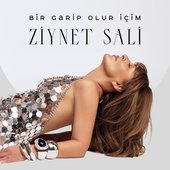 Bir Garip Olur İçim