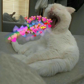 Reavenuwu 的头像