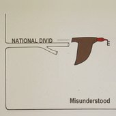 Misunderstood