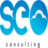 Avatar for consult31