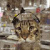 Avatar for moricchins