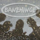 banehinge