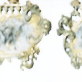 Symbiotic Resilience DHMVA002