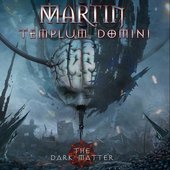 The Dark Matter