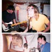 Wild America at the Baby Sitters Club
