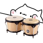 bongo-cat-the-sitch-heropng.jpg
