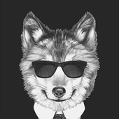 wolfmanFP için avatar