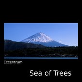 Sea of Trees
