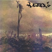 1.Demo Leech