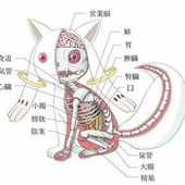 drudgil 的头像