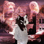 buckshot furry mound