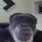 banjoman69 的头像