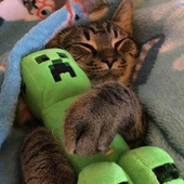 MgamerPy 的头像
