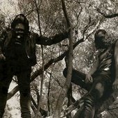 BlackHowling