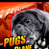 Avatar for PugsOnAPlane