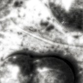 20160328_212410_2_2_2_2.jpg