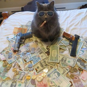 Ihave3dix 的头像
