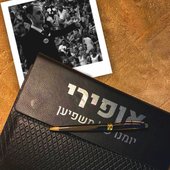 יומנו של משפיען