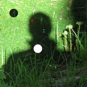 Artificial Memory Trace