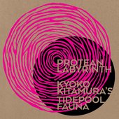 Protean Labyrinth