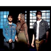 cacturs-flowers-band.jpg