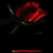 Avatar for mosageri1975