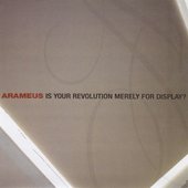 Is Your Revolution Merely for Display
