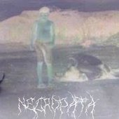 None