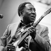 Muddy Waters