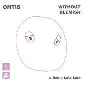 Without Blemish