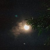 Fantasma
