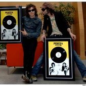 Disco de oro , Animales. Pereza