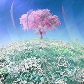 53b3d349ba8287a12295bbb0db676e27.1000x1000x1.jpg