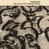 Den F​ø​rste Store Manddrukning