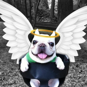 Avatar for Mrcalmnga