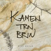 Kamen trn brin