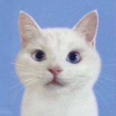 Mmigo
