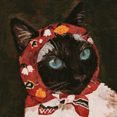 dearmeow 的头像