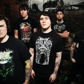 The Ophidian Ascension 2009