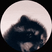 Avatar for Freemenn