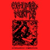 SPONTANEOUS COMBUSTION