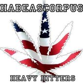 Heavy Hitter