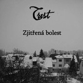  Zjitřená bolest - Best of Compilation, 2008