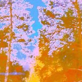 0033182677_25.jpg