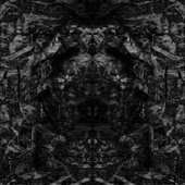 The Jagged Womb