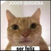 Avatar for josssb
