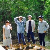 The Waterfalls.jpg