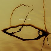 Torto